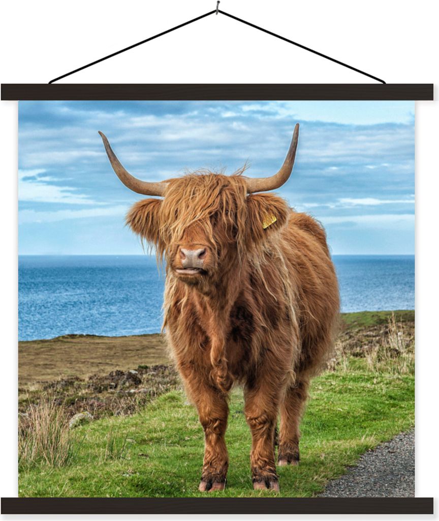 MuchoWow Textilposter Schottische Hochlandrind - Wolken - Landschaft 120x120 cm mit schwarzem Rahmen - Aufhängungsset