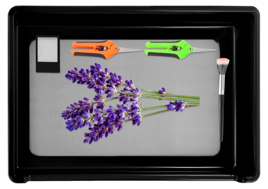 Trim Tray, Premium Trimm Schalen Set mit 150 Mikron Pollensieb, Ergonomische Trimm Schale mit Schere und Pinsel für verschiedene Kräuter (Schwarz)