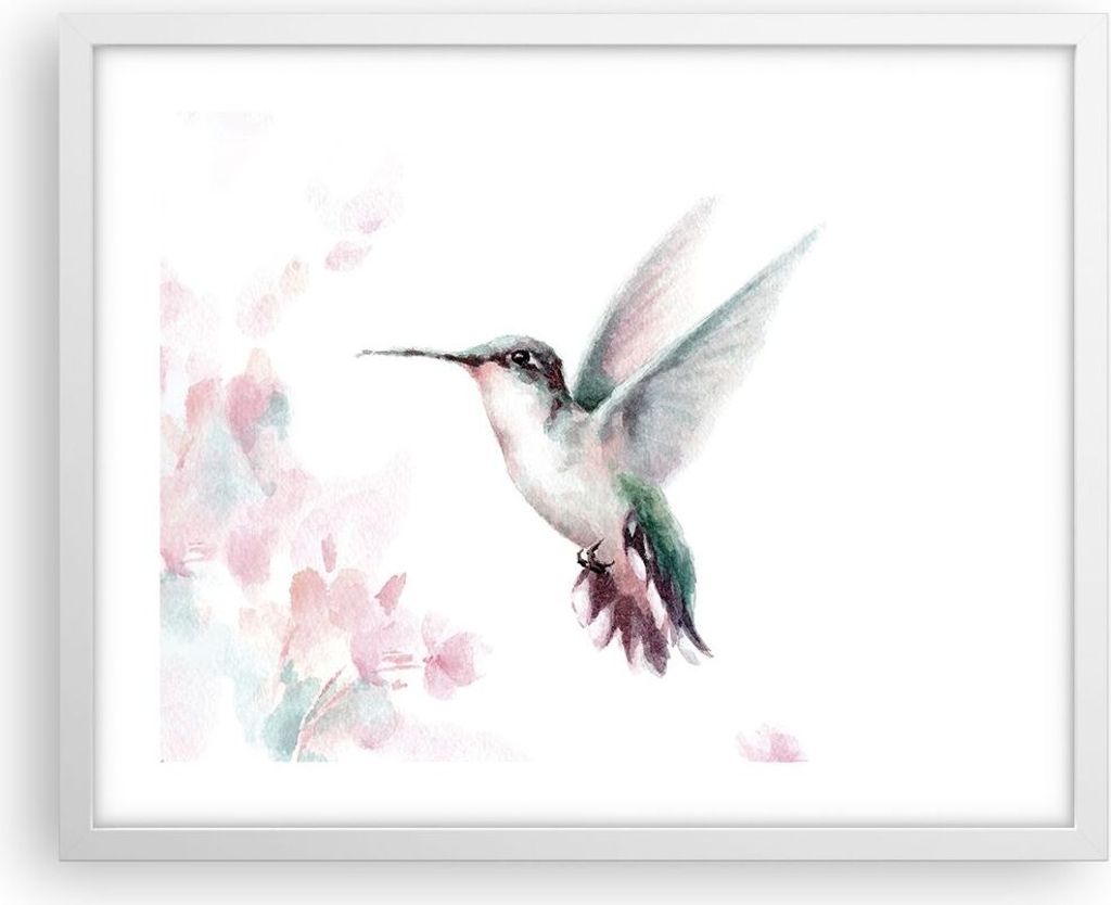 Gerahmtes Poster - Weißer Rahmen - Kolibri Aquarell Licht - 50x40 cm - Wand Bild - Wanddeko - Wandbilder - Kunstposter - Wandposter - Bilderrahmen...