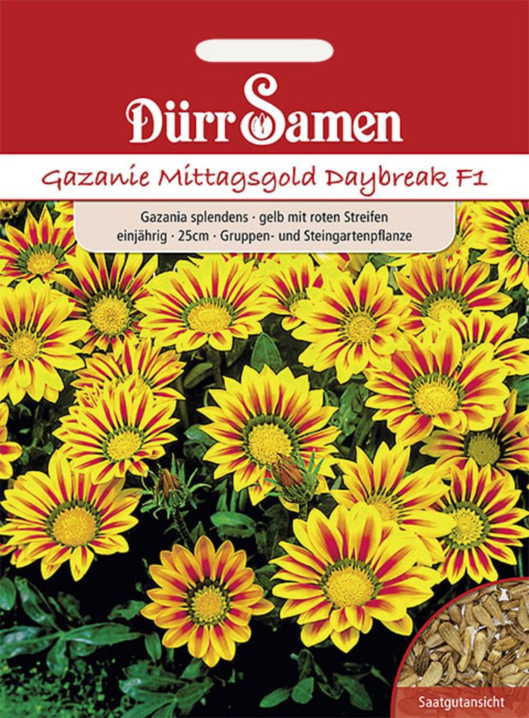 Dürr-Samen - Gazania Daybreak Red Stripe F1 einjährig 25 cm - Saatgut - 1955
