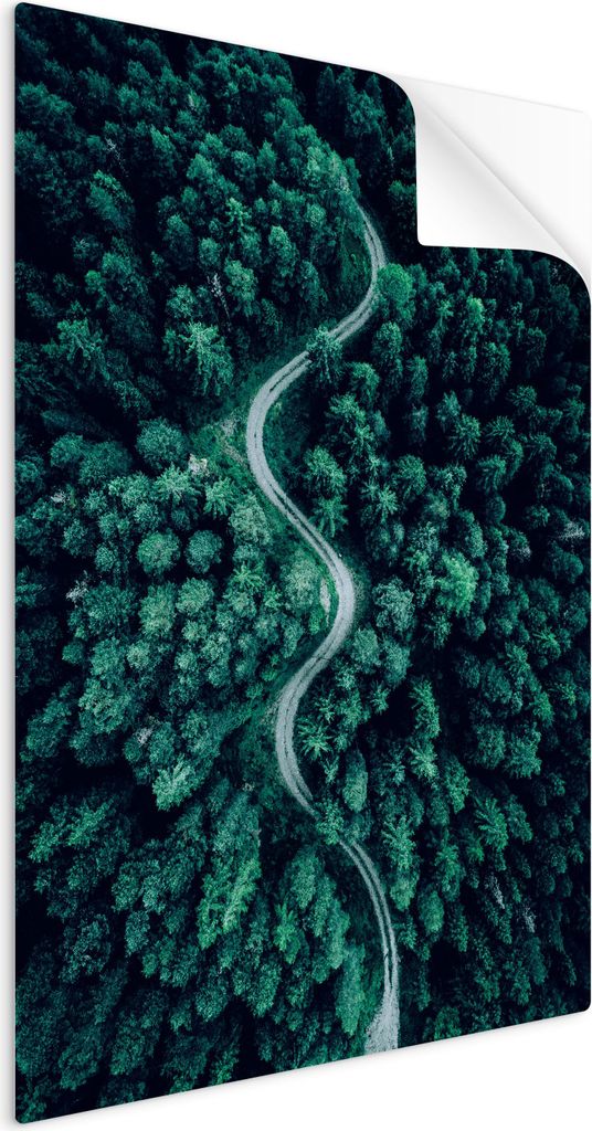 SpaceRebels Bilder Wandsticker 80x120 - Wanddeko Landschaft Wald - Selbstklebende Wandtattoo Wandsticker - Modernes Bild auf PVC-Folie - Wandbild W...