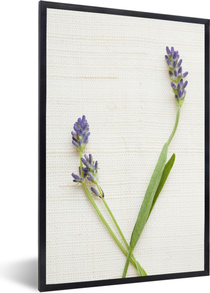 MuchoWow Gerahmtes Poster Studioaufnahme von Lavendel 60x90 cm - Poster mit Schwarzem Bilderrahmen Wandposter Rahmen Foto Bilder - Kunst
