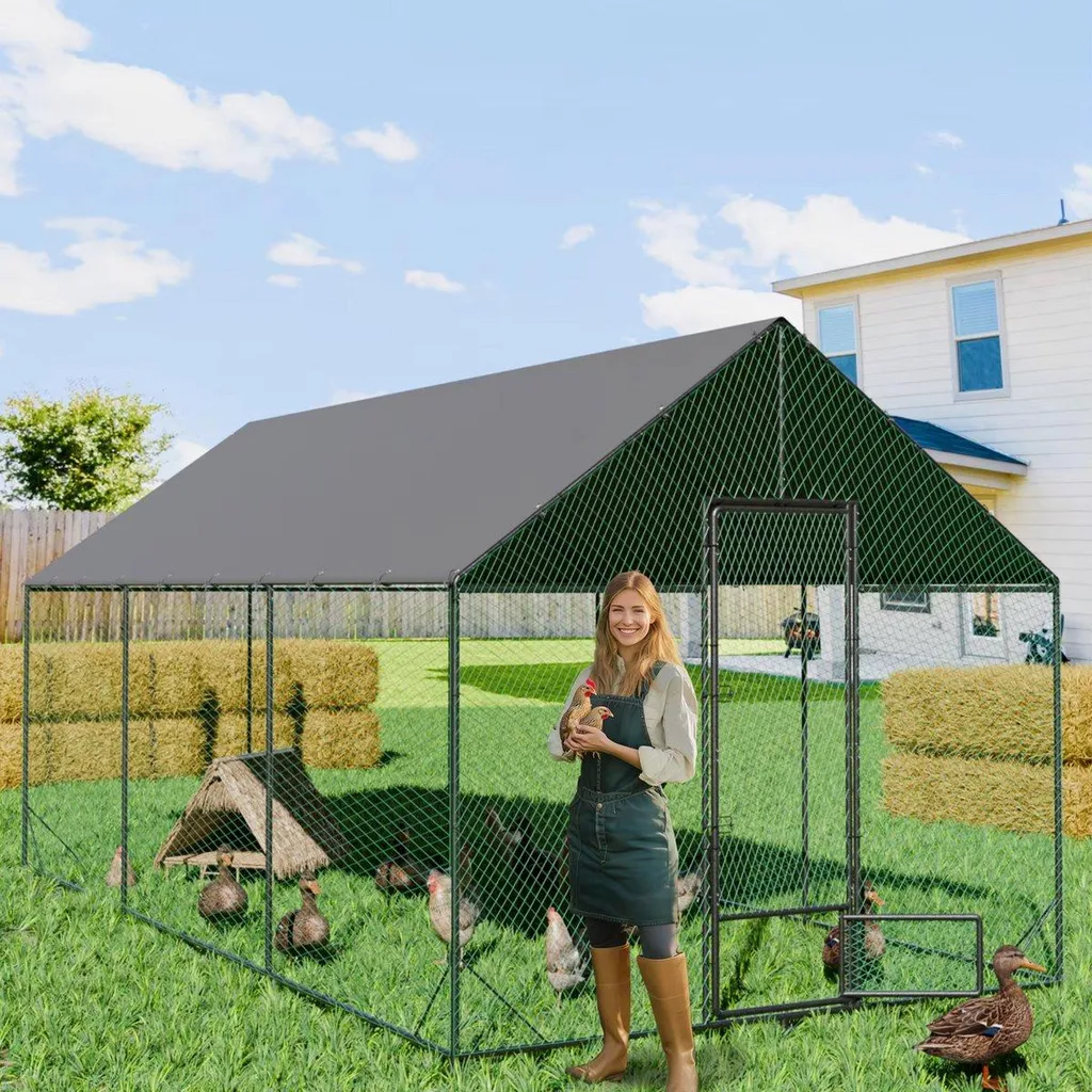 Enclos pour Poules de Jardin : Protégez vos Animaux et Lapins en Plein Air