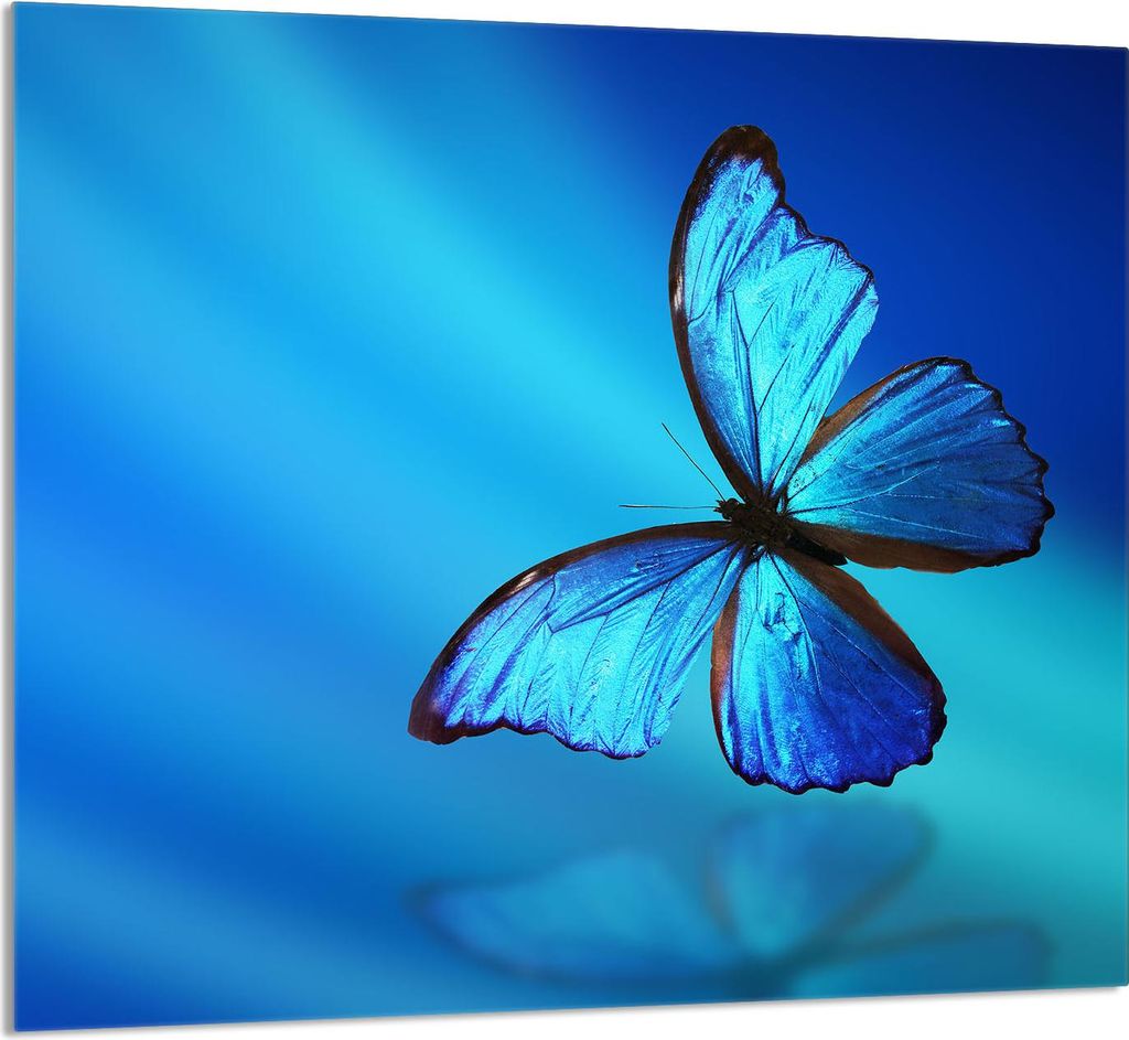 GLASPLATTE FÜR KÜCHE 65x60 Schmetterling