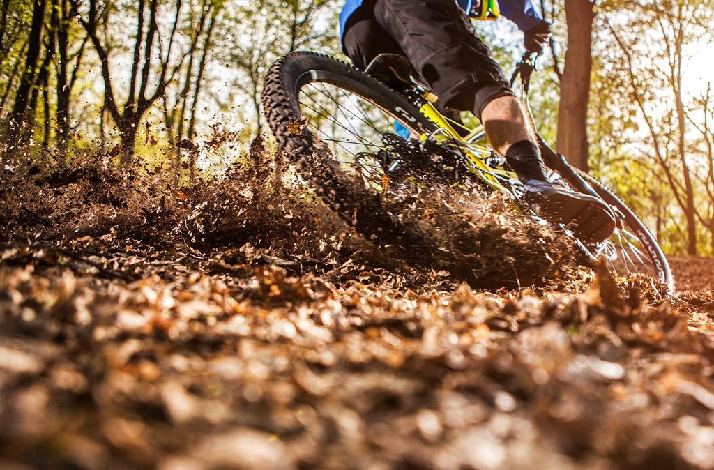 mydays Mountainbike Grundkurs Schwaigern; Erlebnis verschenken oder selbst erleben; Gutschein für 1 Person(en)