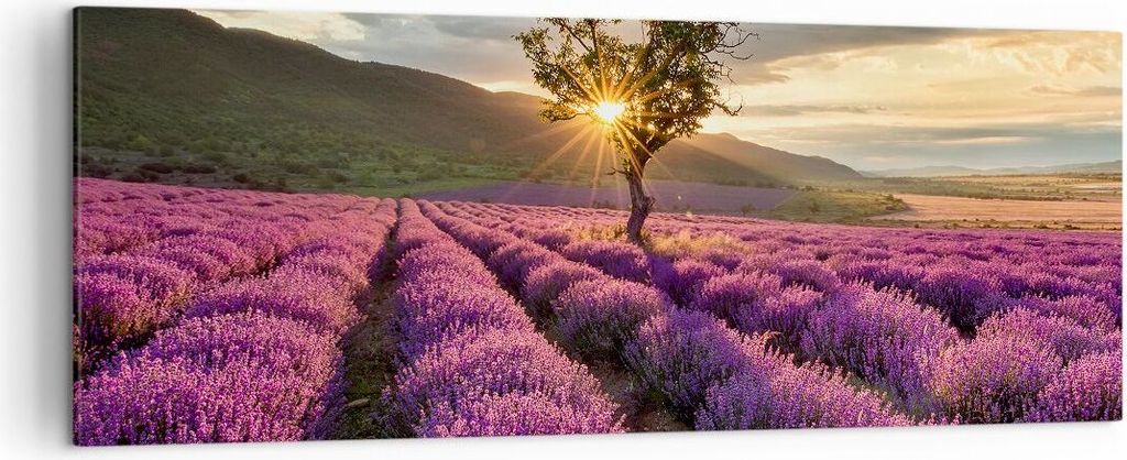 Bild auf Leinwand - Leinwandbild - Lavendel Berge Feld - 140x50cm - Wand Bild - Wanddeko - Leinwanddruck - Bilder - Kunstdruck - Wanddekoration - L...