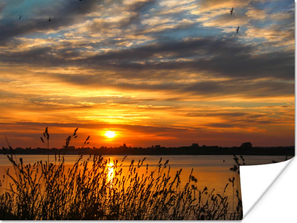 MuchoWow Poster Sonnenuntergang - Meer - Horizont - Himmel - Pflanzen 160x120 cm - Foto Plakat