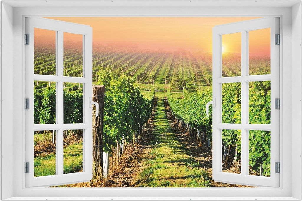 Wallario Wandbild mit Fenster-Illusion: Weinberg mit untergehender Sonne, Größe: 61 x 91,5 cm, Poster mit rahmenlosen Bildhalter