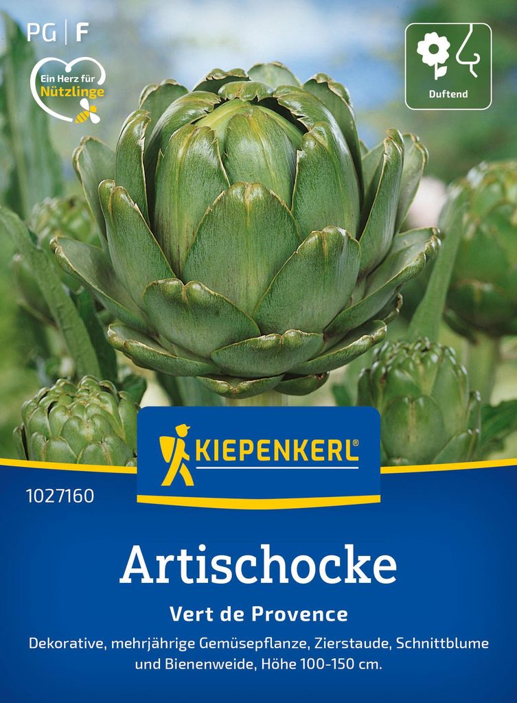 Artikelbild 2 von 'Artischocken Vert de Provence' aus der Kategorie Artischockensamen
