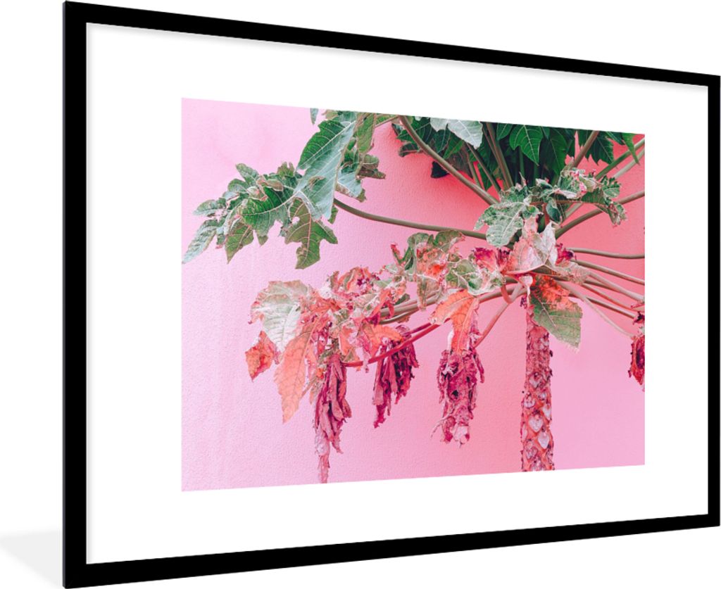 MuchoWow Gerahmtes Poster Palme - Tropisch - Rosa - Sommer 90x60 cm - Poster mit Schwarzem Bilderrahmen Wandposter Rahmen Foto Bilder - Wanddekor...