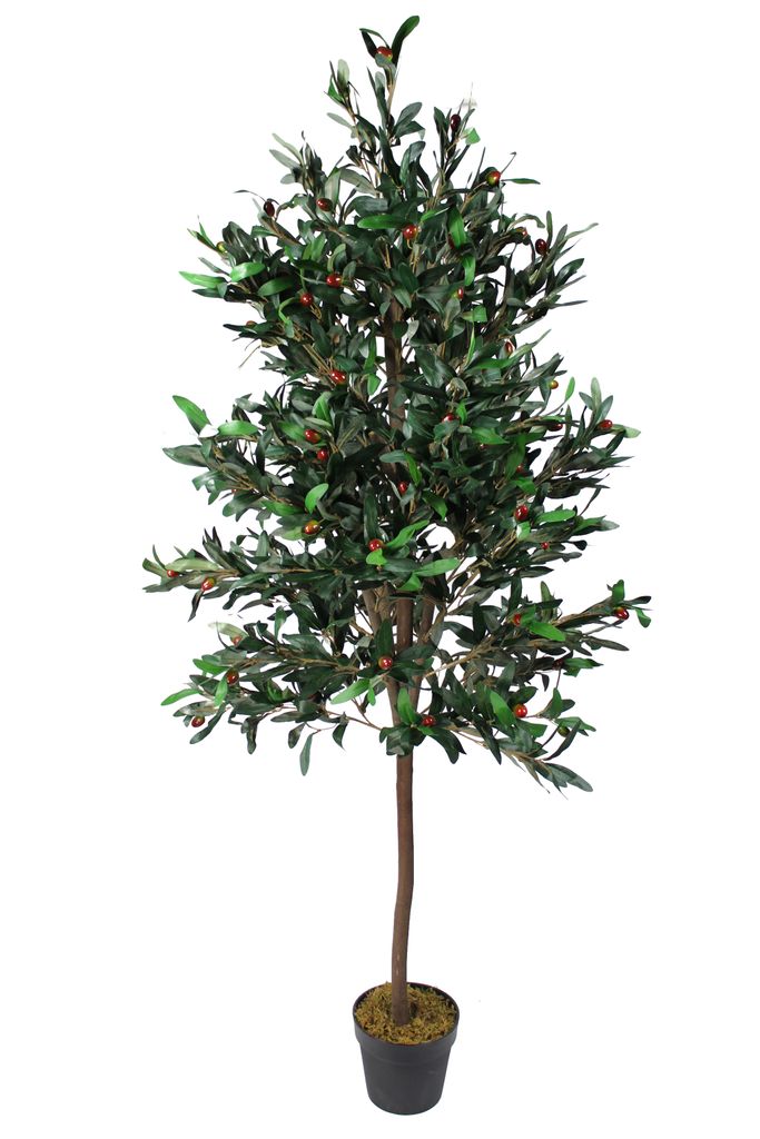 Großer künstlicher Olivenbaum Premium 185 cm Echtholzstamm Produktbild 