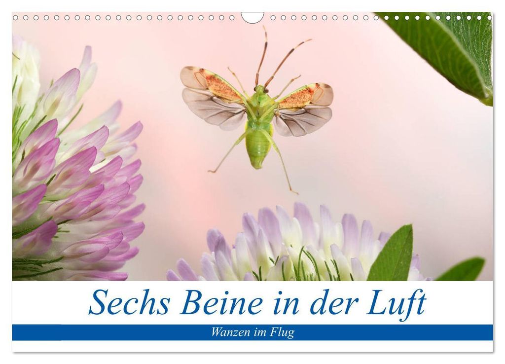 Sechs Beine in der Luft - Wanzen im Flug (Wandkalender 2027 DIN A3 quer), CALVENDO Monatskalender