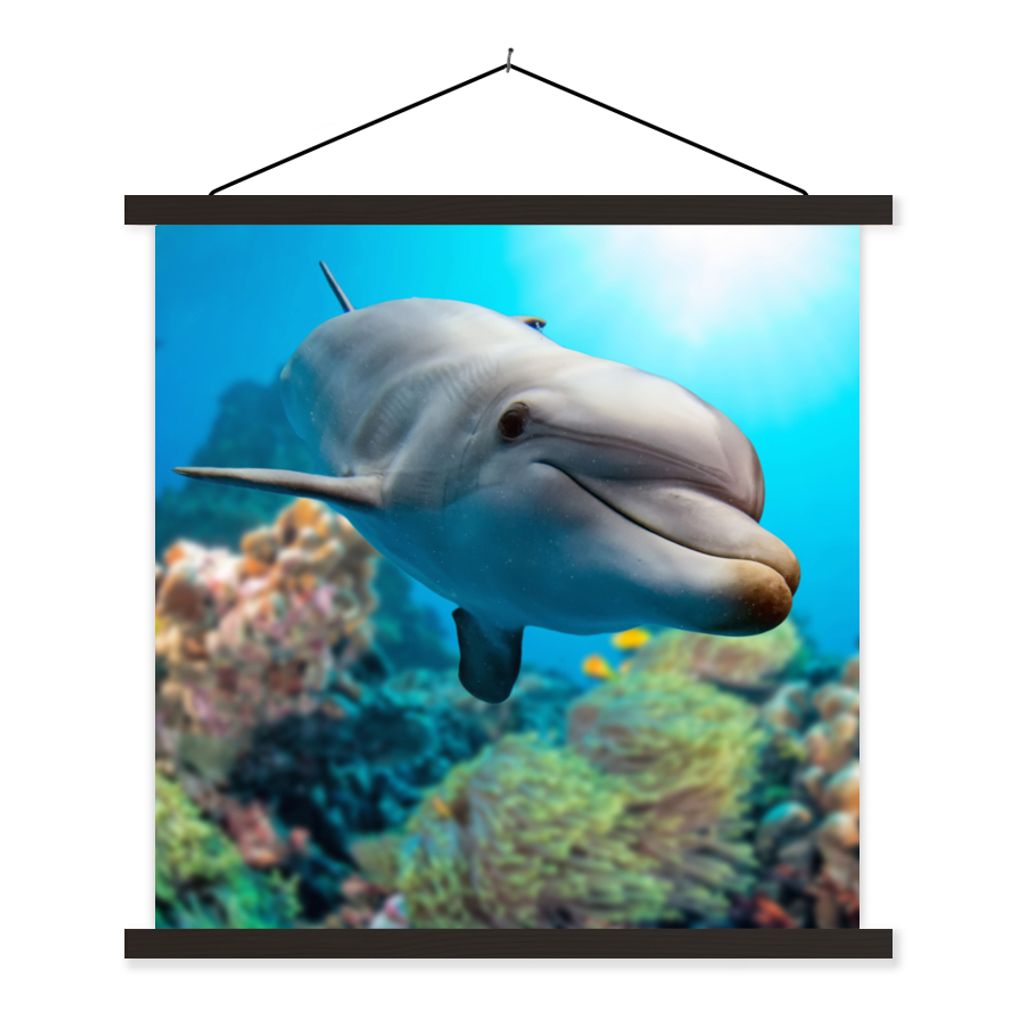 MuchoWow Textilposter Delfin - Meer - Koralle 60x60 cm mit schwarzem Rahmen - Posteraufhänger