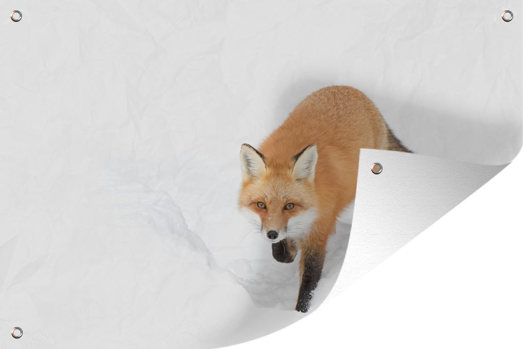 MuchoWow 90x60 cm Outdoor-Poster Gartendeko Sichtschutz Garten Poster für den Garten Fuchs - Schnee - Winter