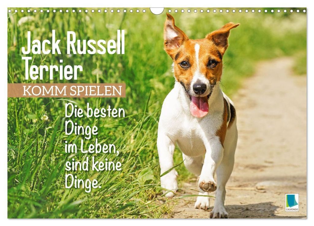 Jack Russell Terrier: Komm spielen (Wandkalender 2027 DIN A3 quer), CALVENDO Monatskalender