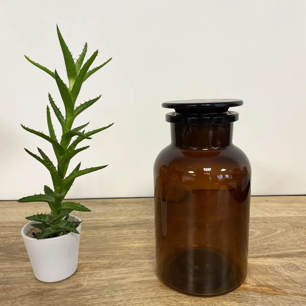 Bocal de rangement en verre 1L coloré - Récipient hermétique polyvalent