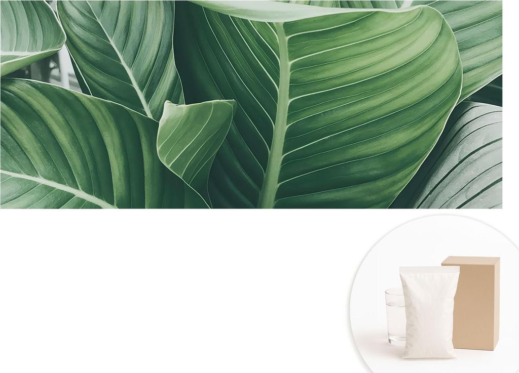 Fototapete - Wandbilder für Wohnzimmer - 208x146 cm - Dekorative Wandfolie - Modernes Design für Wanddekoration - Tapeten für Innenräume - Grü...