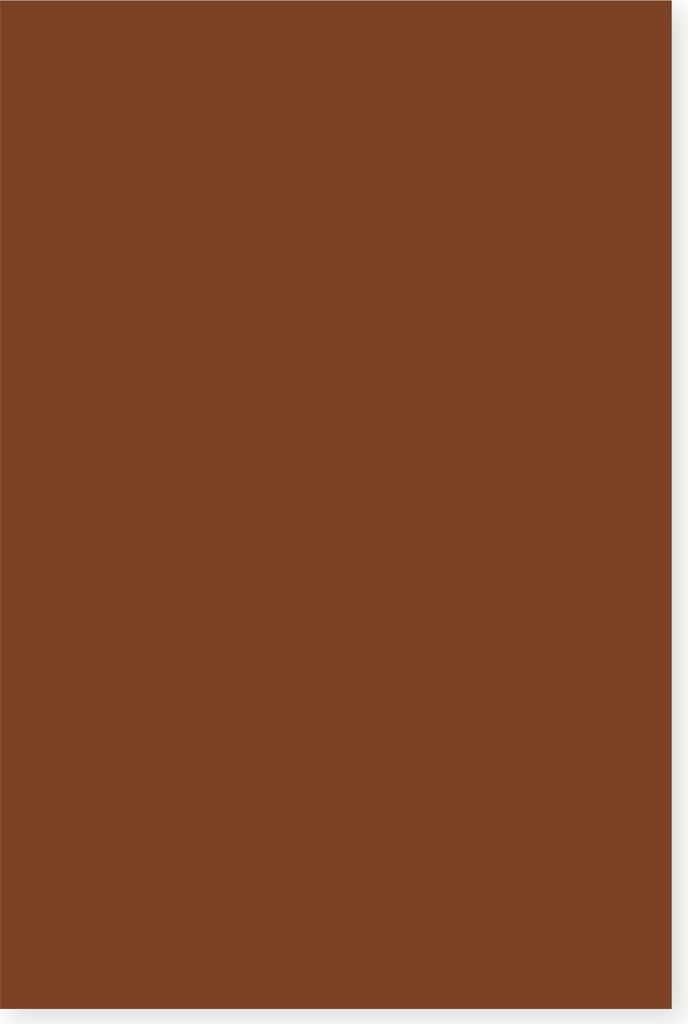 Tonkarton,  50 x 70 cm, 220 g/m² Dunkelbraun Produktbild 
