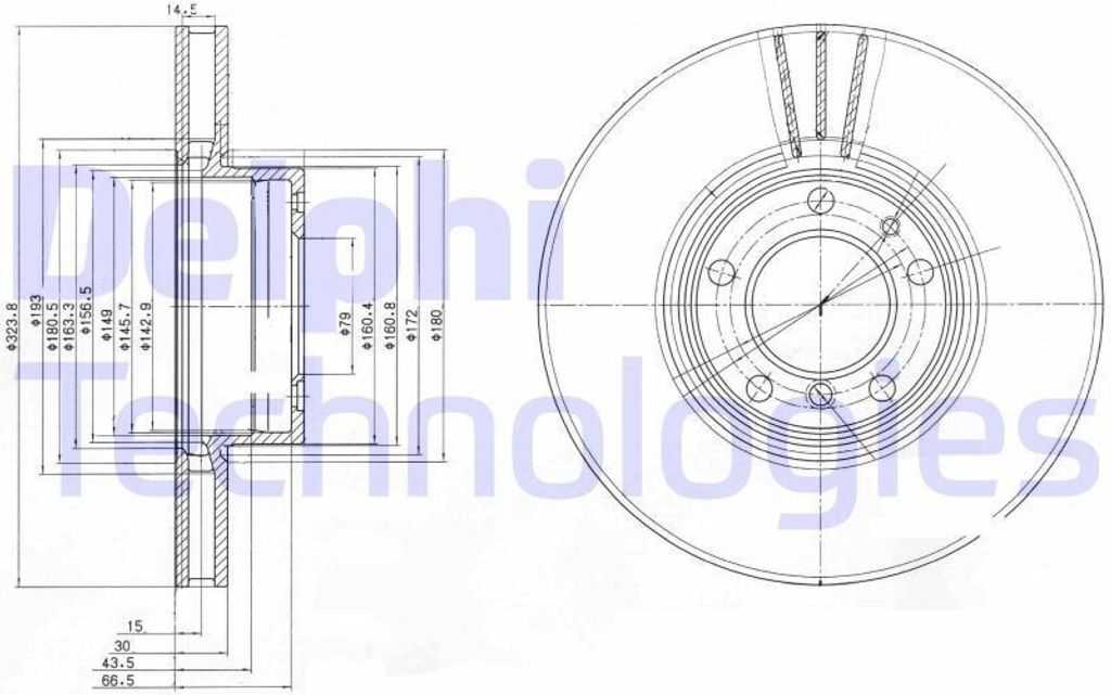 2x DELPHI Bremsscheibe BG9005 für BMW 5 Limousine (E39) 5 Touring (E39) 74mm