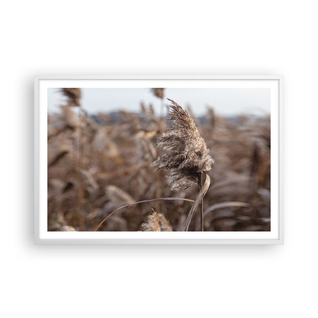 Gerahmtes Poster - Weißer Rahmen - Boho Ähren Gras - 91,5x61 cm - Wand Bild - Wanddeko - Wandbilder - Kunstposter - Wandposter - Bilderrahmen - B...