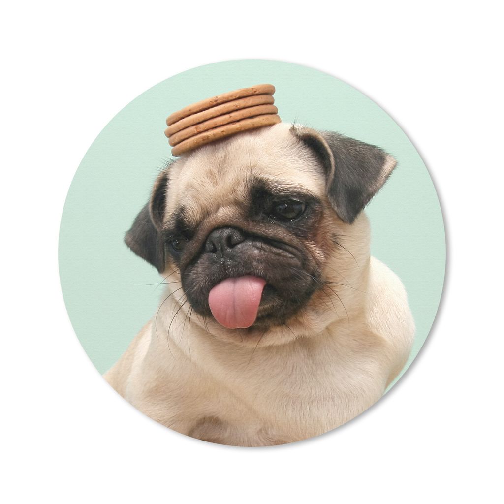 MuchoWow Mauspad Mousepad Hund - Lustig - Kekse - Kinder - Jungen - Mädchen - Kinder 30x30 cm - Mousepads - Maus Mat - Pad - Mausunterlage - Tis...