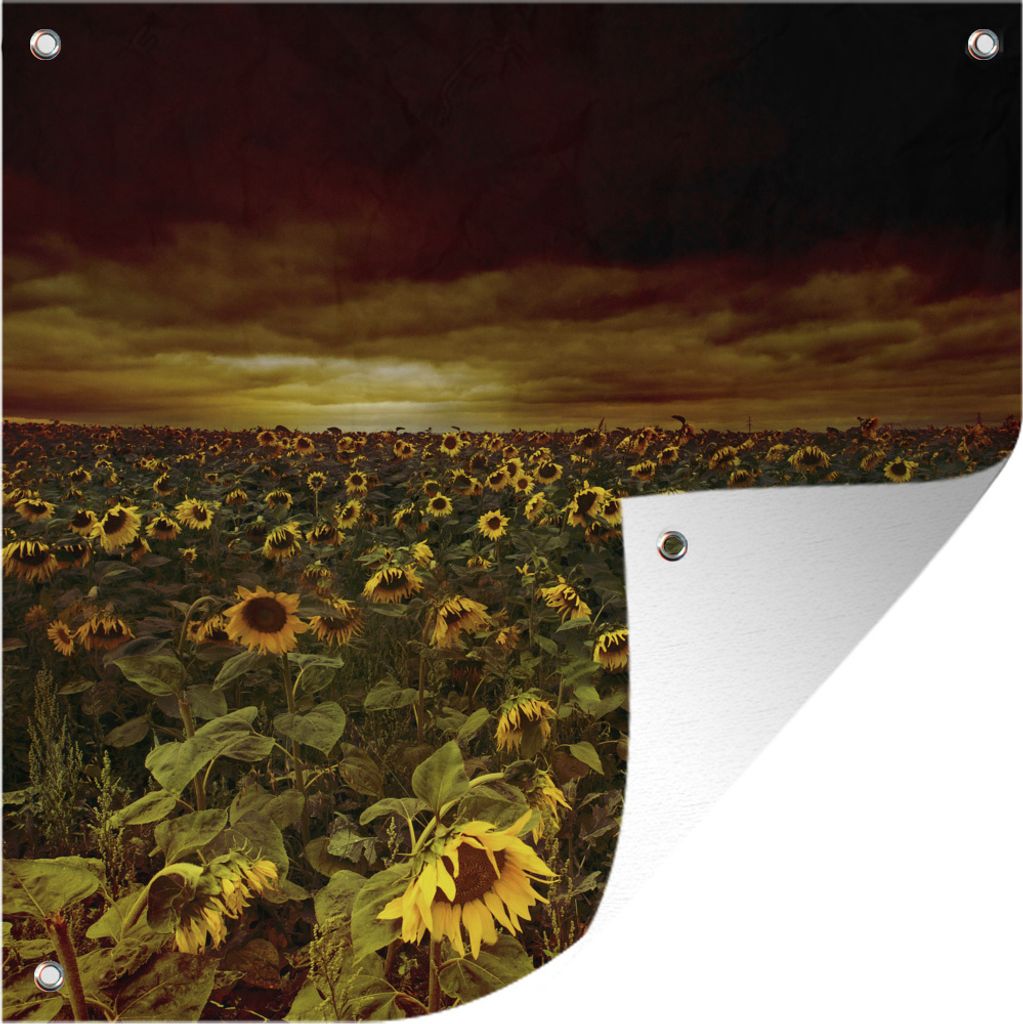 MuchoWow 50x50 cm Outdoor-Poster Gartendeko Sichtschutz Garten Poster für den Garten Sonnenblumen zwischen dunklen Wolken