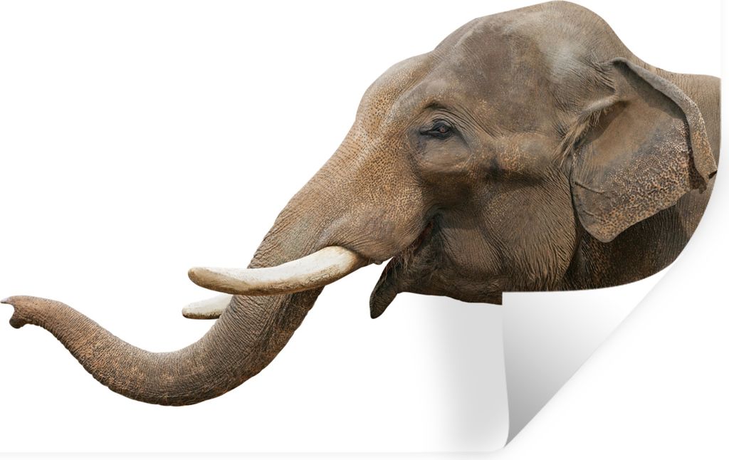 MuchoWow - Aufkleber