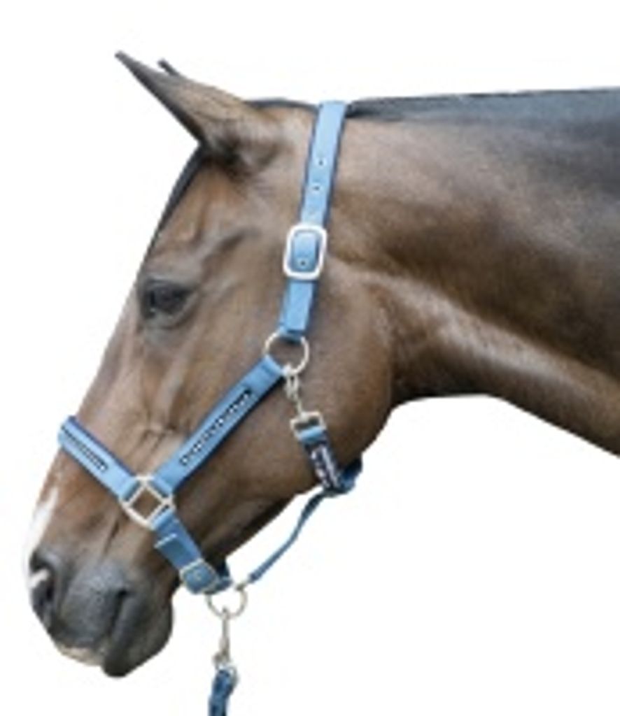 HKM Halfter + Strick-Set -Crystal- weich unterlegt, Farbe:9195 schwarz/grau, Größe:Vollblut