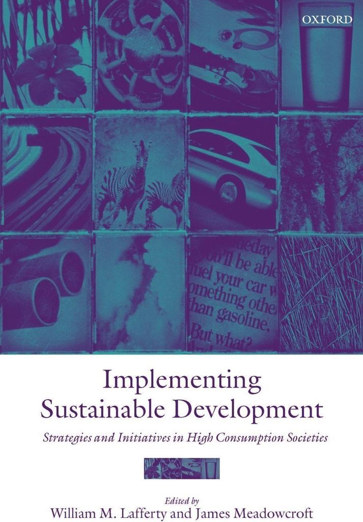 Implementing Sustainable Development