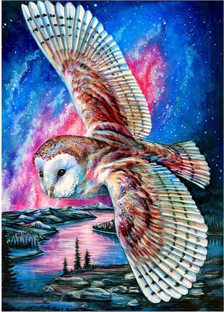 Diamentmosai̇k "Eule", Flugmotiv, Kreativset, 30X40 Cm Produktbild 