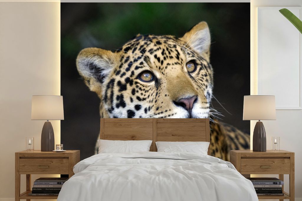 MuchoWow Fototapete für Wohnzimmer oder Schlafzimmer Wandtapete Vinyl Motivtapete Leopard - Kopf - Wald - 240x240 cm - Schlafzimmer-Tapete