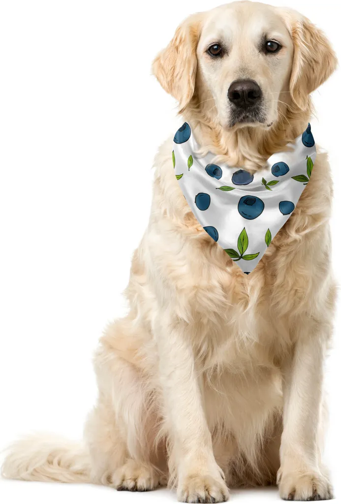 Bandana Cane ABAKUHAUS Mirtilli 40x40 cm - Accessorio Pet Blu Petrolio
