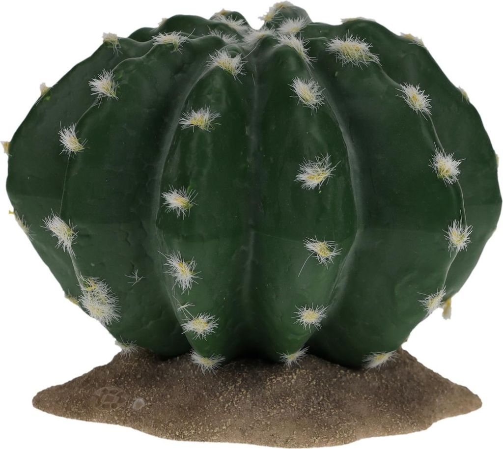 Terra Della Dekoration Kaktus Echinocactus grün