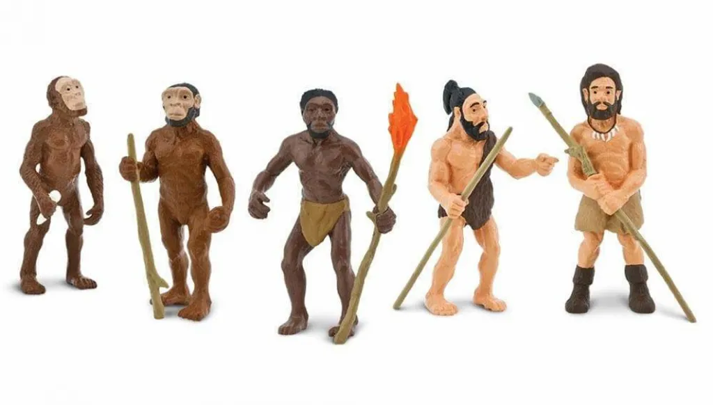 Apprendre l'Evolution de l'homme Junior 5 pièces Safari kit pédagogique