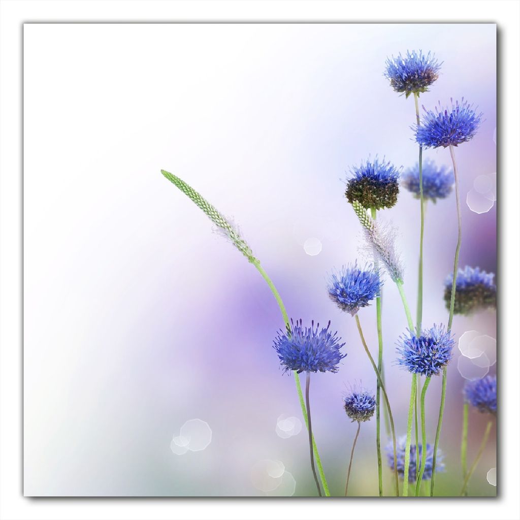 Wallario selbstklebende Möbelfolie/ Tischdecke für Innen und Außen, Größe: 60 x 60 cm - Abstrakte lila Blume