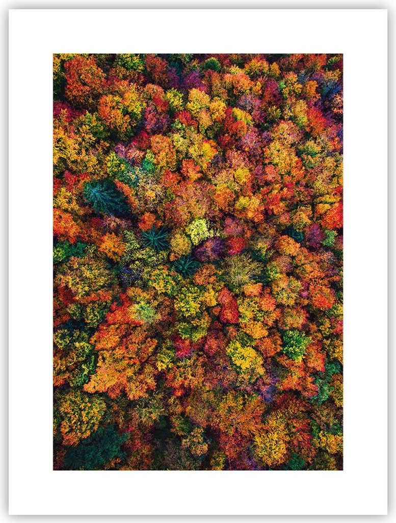 Poster - Poster ohne Rahmen - Herbst Perspektive Vogel - Produktbild 