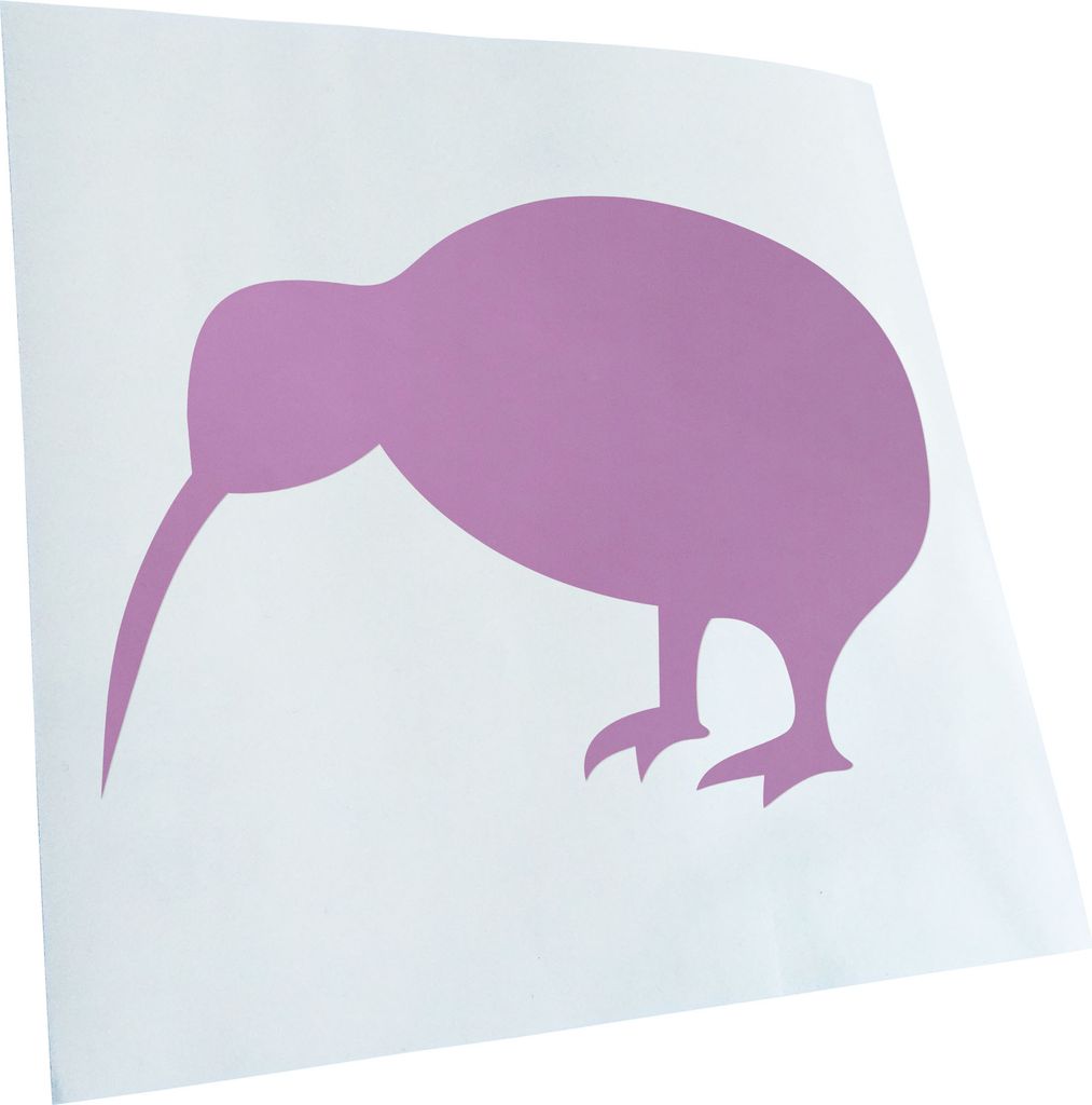 Kiwistar - Autoaufkleber - Kompass - Neon Matt - Aufkleber für Auto Kfz Fahrrad, LKW, Truck Mofa