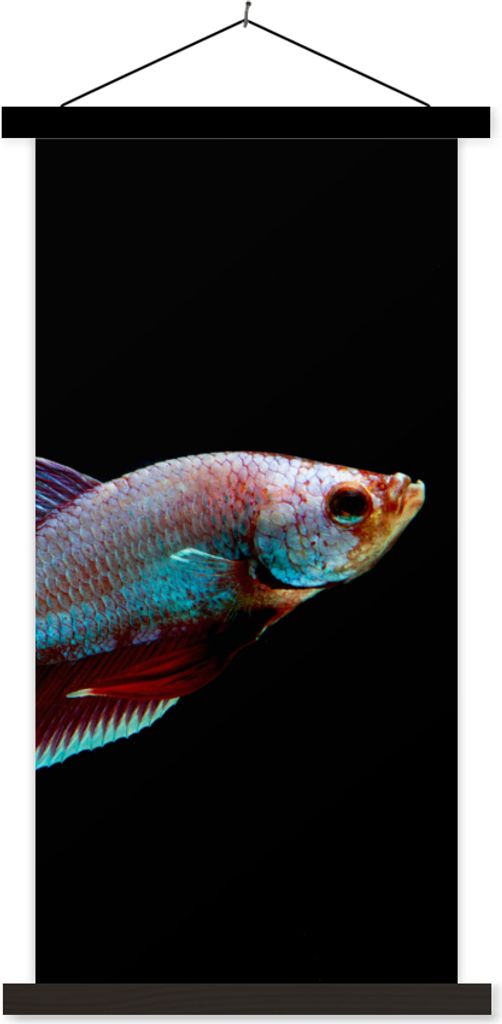 MuchoWow Textilposter Fische - Tiere - Licht 60x120 cm mit schwarzem Rahmen - Magnete