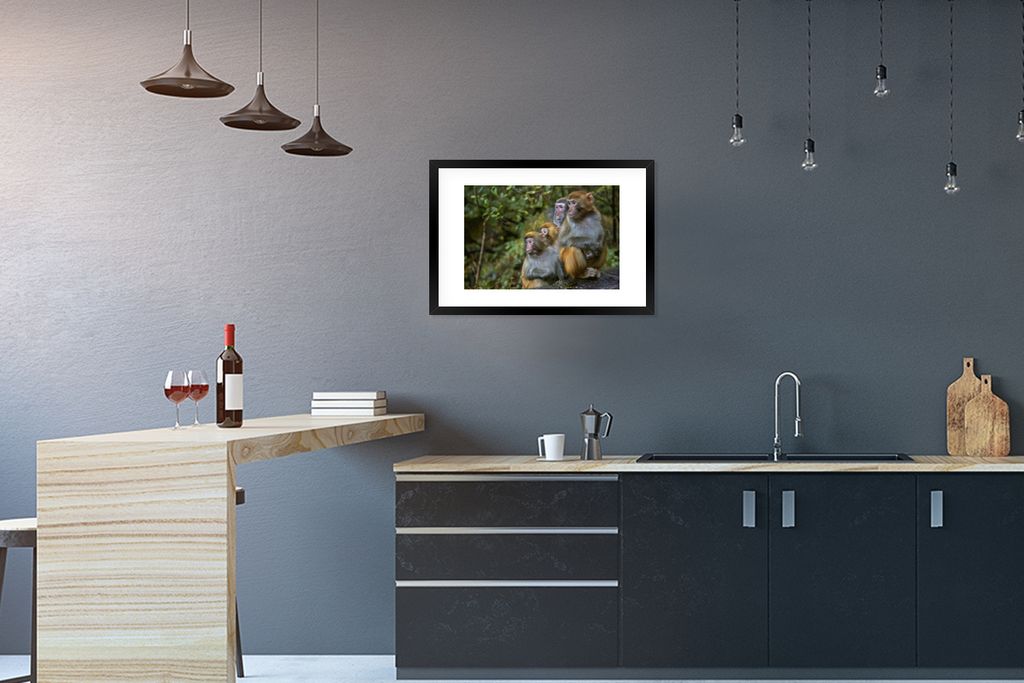 MuchoWow MuchoWow Gerahmtes Poster Affen - Steine - Wald 60x40 cm - Poster mit zchwarzem Bilderrahmen - Schlafzimmer - Plakat in Rahmen - Drucken