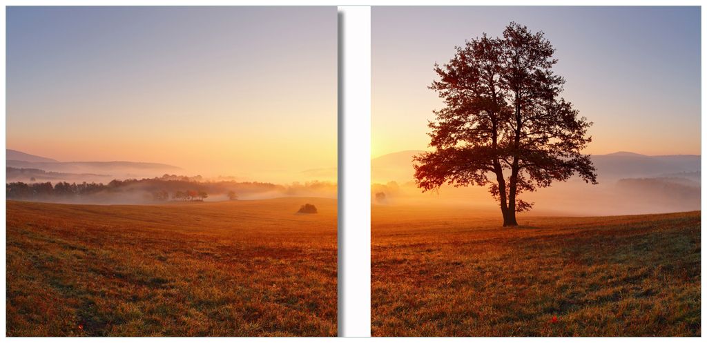 Wallario 2er Set Wandbilder aus Acryl, 50 x 50 cm, freischwebende Optik - Sonnenaufgang über der Wiese mit Nebel