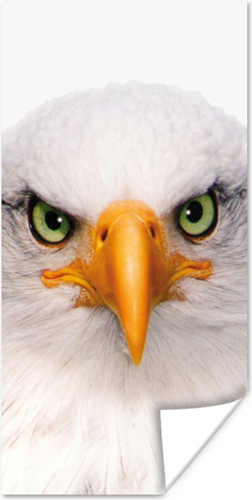 MuchoWow Poster Jungen - Adler - Amerikanischer Weißkopfseeadler - Vogel - Porträt - Schnabel - Augen 60x120 cm - Wandschmuck