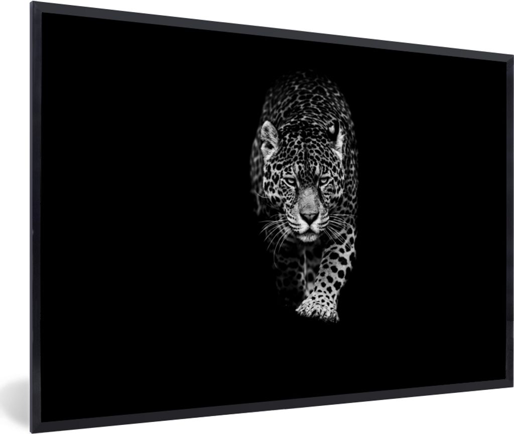 MuchoWow Gerahmtes Poster Tiere - Schwarz - Leopard - Weiß - Wild 60x40 cm - Poster mit Schwarzem Bilderrahmen Wandposter Rahmen Foto Bilder - P...