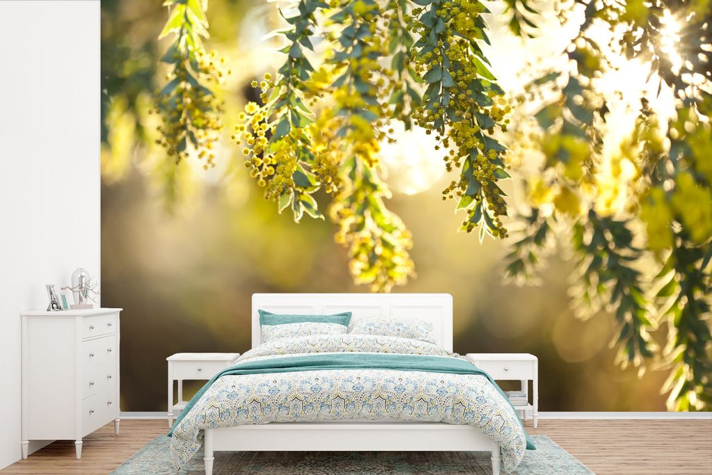 MuchoWow Fototapete für Wohnzimmer oder Schlafzimmer Wandtapete Vinyl Motivtapete Nahaufnahme von gelben Akazienblüten im Sonnenlicht - 360x240...