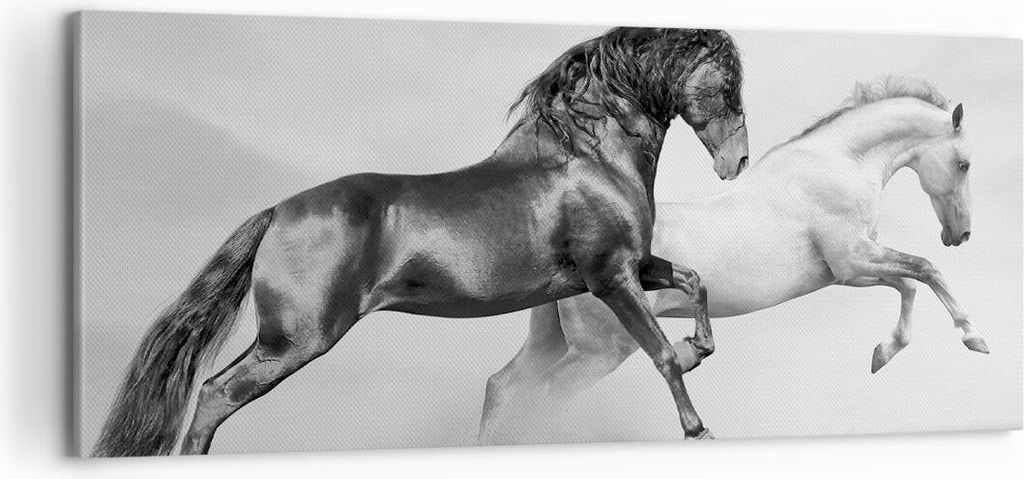 Bild auf Leinwand - Leinwandbild - Pferde Tiere Galopp Wiese - 100x40cm - Wand Bild - Wanddeko - Leinwanddruck - Bilder - Kunstdruck - Wanddekorati...