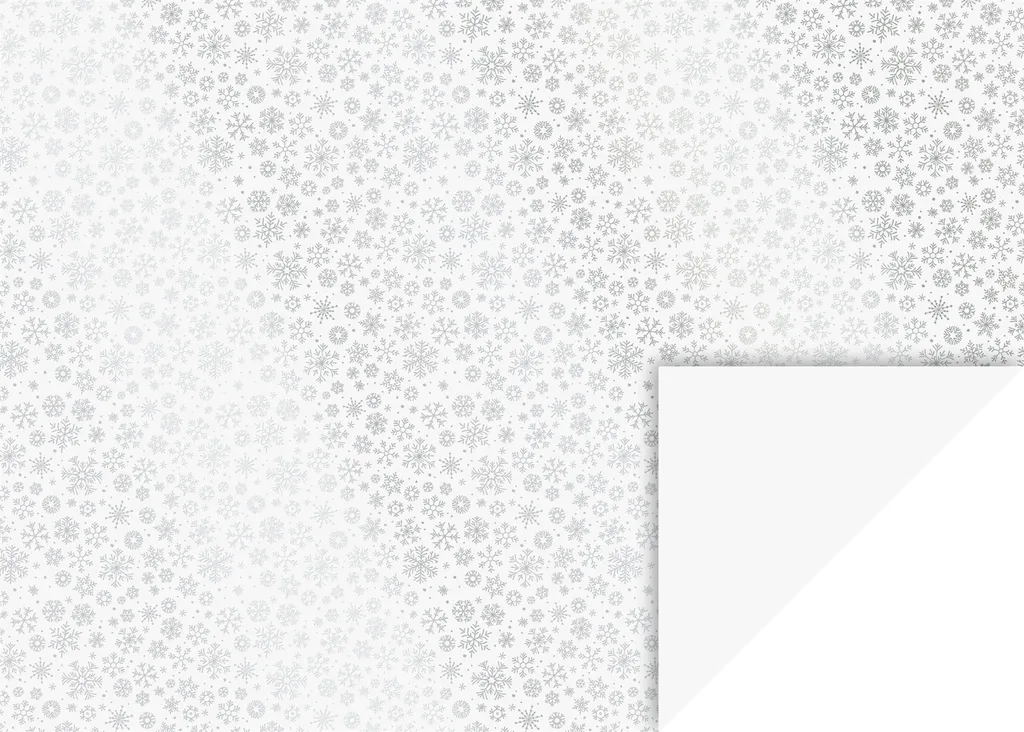 Carton Photo Heyda 204771869 Argent - Support Rigide 50x70 cm pour DIY