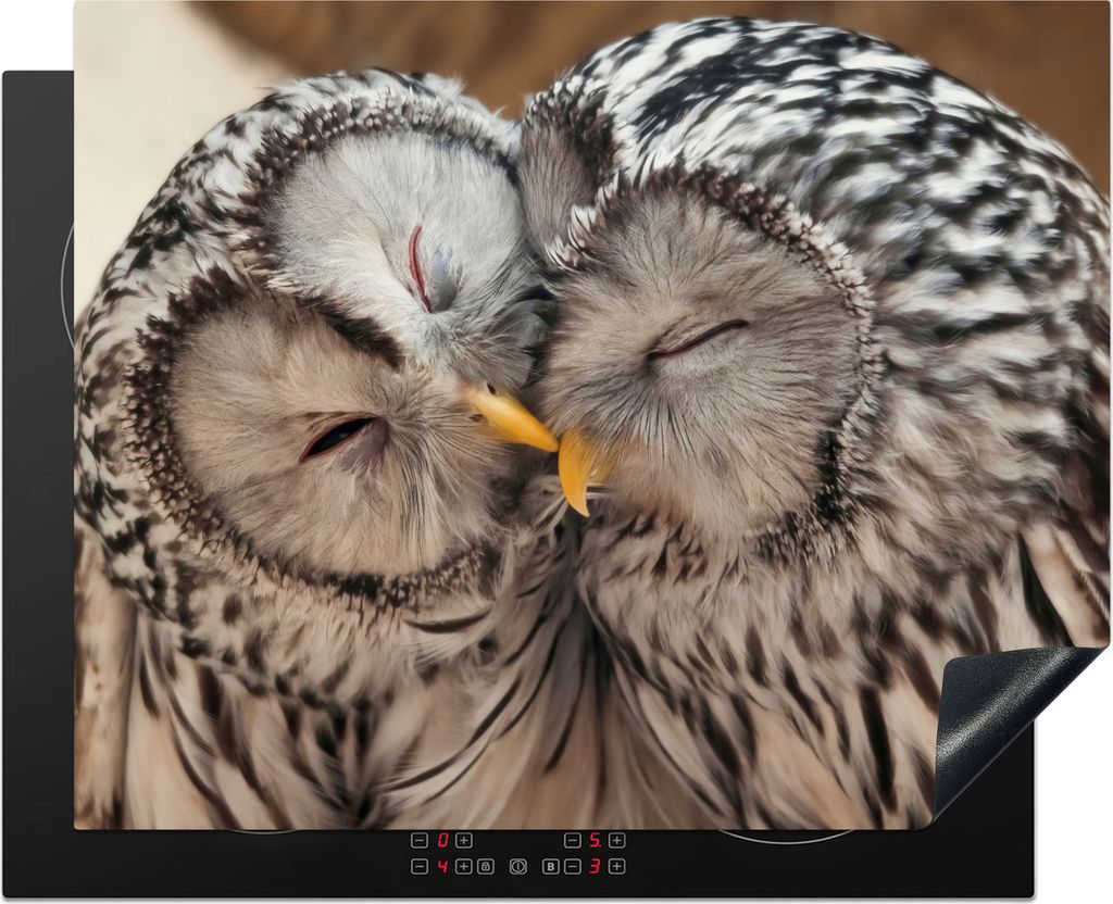 KitchenYeah Herdabdeckplatte Eulen - Vögel - Schnabel - Familie , 65x52cm, Küche Deko, Glaskeramikfeld Herdabdeckung, Abdeckplatte fùr Kochfeld