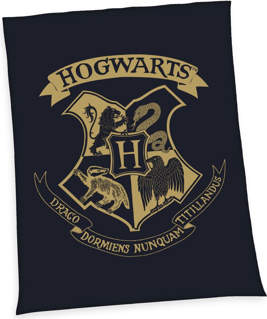 Harry Potter Wellsoft-Flauschdecke / 150x200 cm Produktbild 