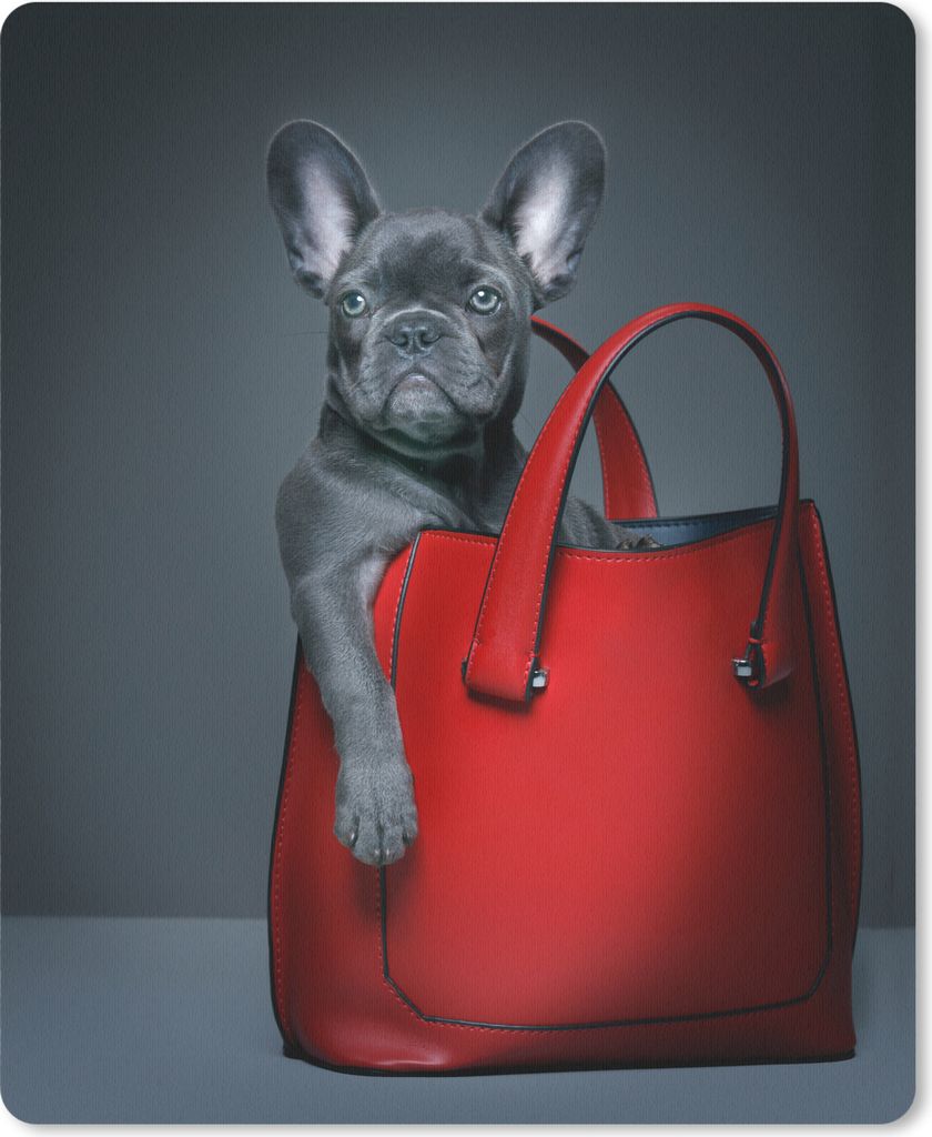 MuchoWow Mauspad Mousepad Hund - Lustig - Tasche - Kinder - Jungen - Mädchen - Kinder 19x23 cm - Mousepads - Maus Mat - Pad - Mausunterlage - Ma...