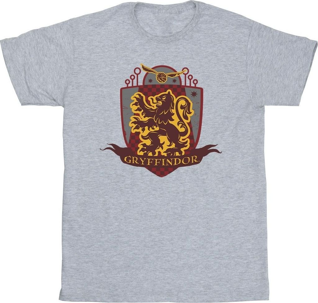 Harry Potter - "Gryffindor" T-Shirt für Jungen BI21090 (104) (Grau)