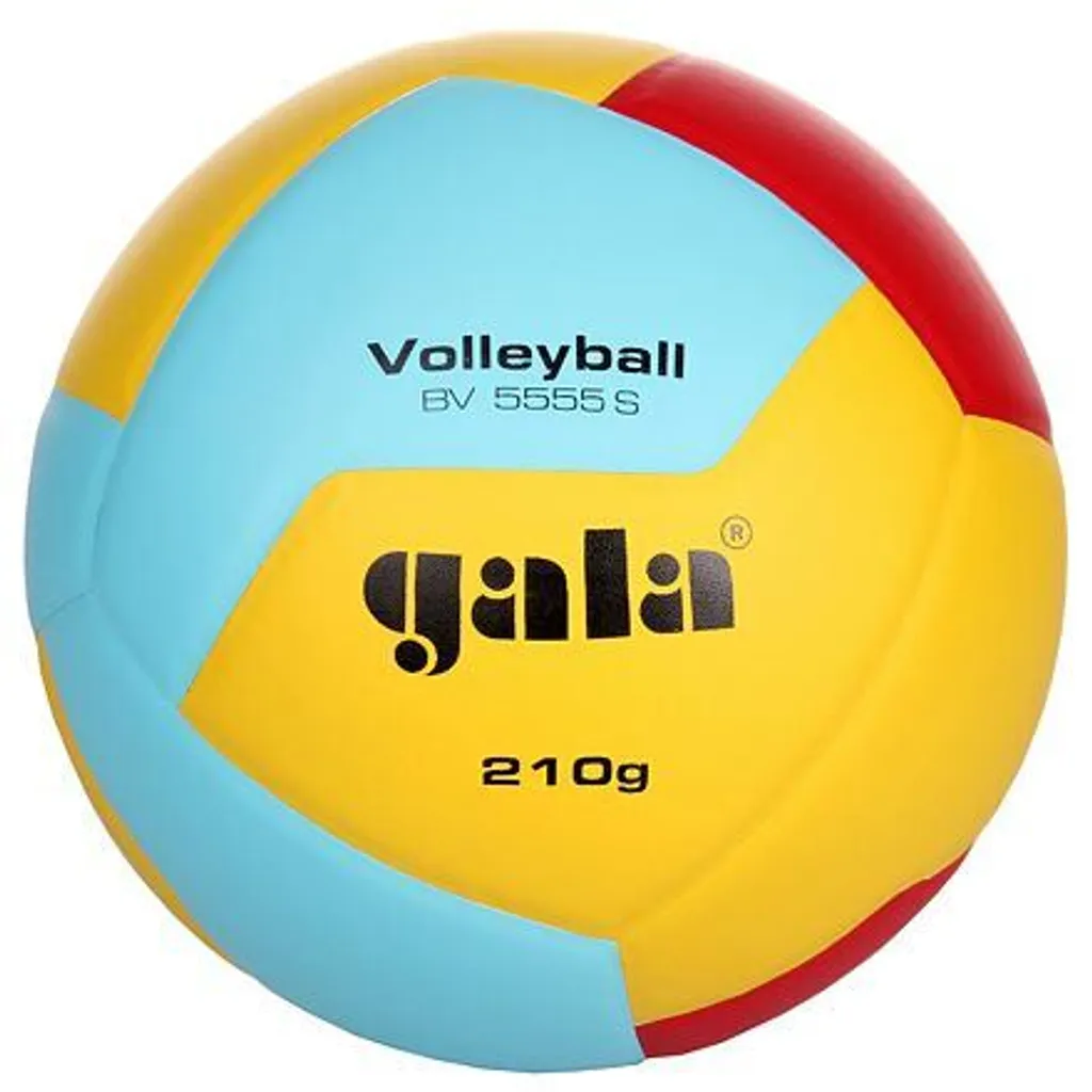 Ballon de Volleyball Gala BV5555S pour Entraînement Intensif et Loisir